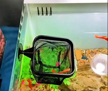 Red de pesca para pecera telescópica multifuncional con ventosa