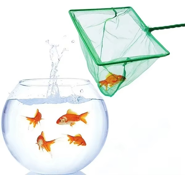 Red de pesca #5 y #6